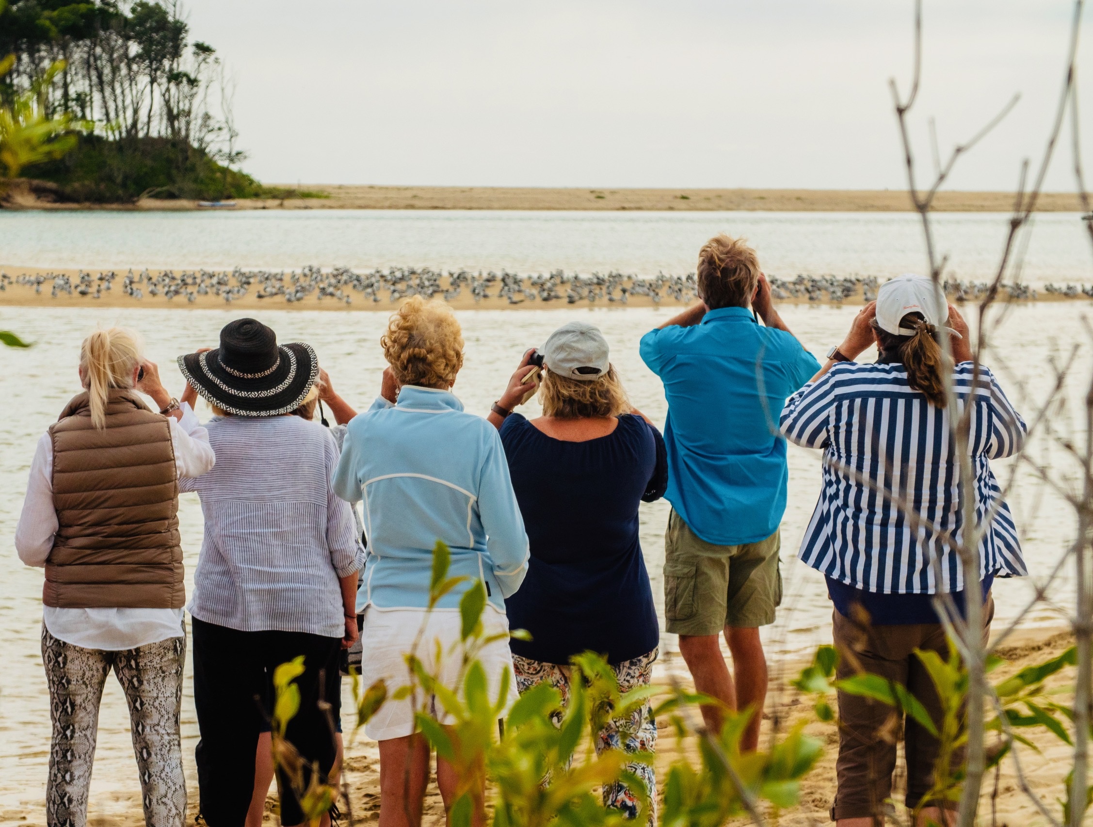 Enter the Flyosphere - Tread Lightly Noosa