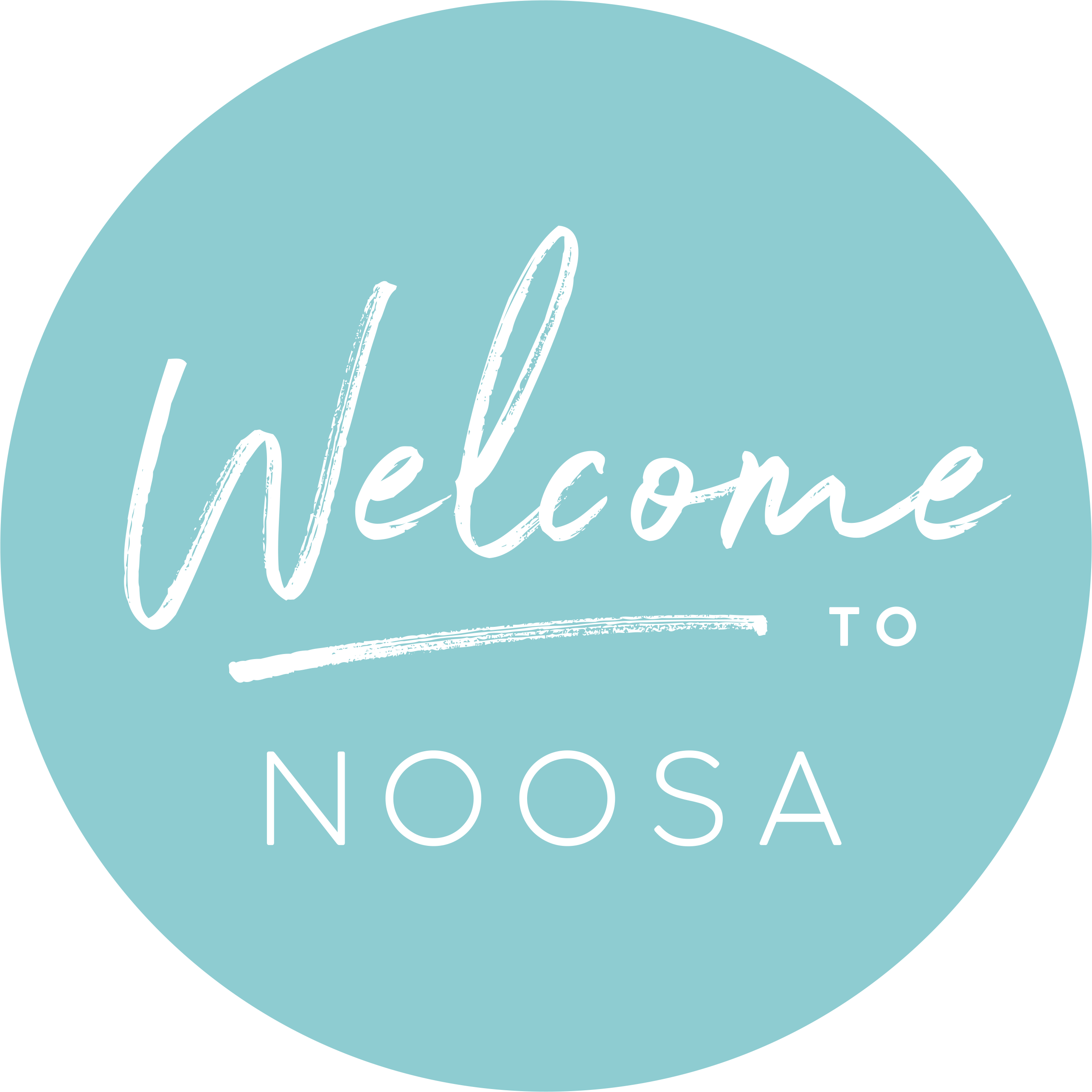 noosa ferry and cruise company photos